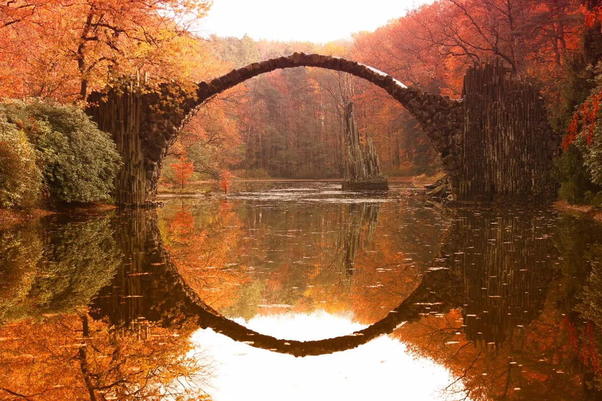 The Neuroscience of Gratitude: How Thankfulness Rewires the Brain for Resilience
